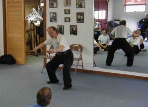 Prof. Duan demonstrating Wudan Tai Chi