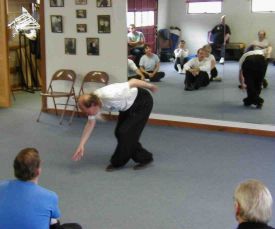 Prof. Duan demonstrating Wudan Tai Chi